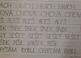 20241128_075422.jpg