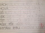 20241128_075037.jpg