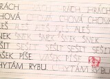 20241128_075358.jpg