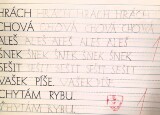 20241128_074819.jpg