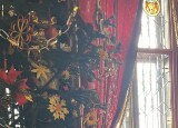 IMG_9114.jpg