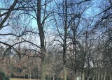 IMG_9071.jpg