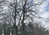 IMG_9069.jpg
