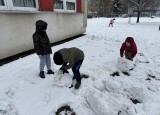 IMG_3613.jpg