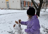 IMG_3623.jpg