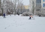 20241206_120225.jpg