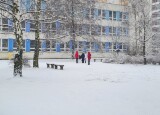 20241206_120227.jpg