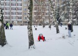 20241206_120229.jpg