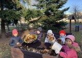 IMG_0064.jpeg