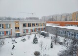 20241206_115718.jpg