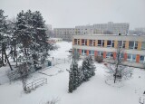 20241206_115723.jpg