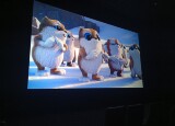 KINO (20).jpg