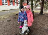 IMG_3292.jpeg