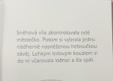 SNĚHOVÁ VÍLA A SKŘÍTEK MRAZÍČEK  (5).jpg