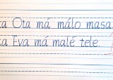 20250123_092403.jpg