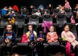 kino 22. 1 (3).jpg