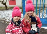 ŠKOLNÍ ZAHRADA (5).jpg