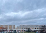 IMG_3437.jpg