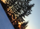 IMG_20250109_160500.jpg