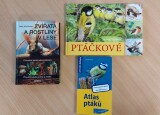 ptačí křížovka.jpg