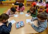 Ptačí křížovka (6).jpg