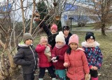IMG_3439.jpeg