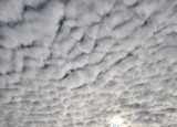 20250210_121519.jpg