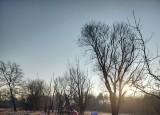 20250210_082924.jpg