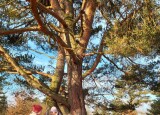 20250210_085849.jpg