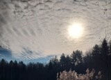 20250210_114558.jpg