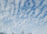 20250210_121536.jpg