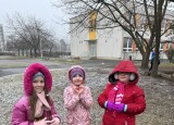 IMG_4141.jpg