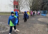 IMG_4137.jpg