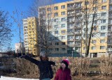 IMG_3778.jpg