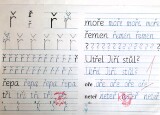 20250221_084330.jpg