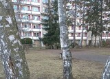 ÚNOR (4).jpg