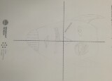 IMG_20250303_160508.jpg
