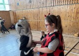 IMG_4567.jpg