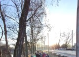 20250130_082334.jpg