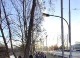 20250130_082336.jpg