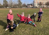 IMG_3570.jpeg