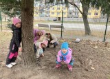 IMG_3924.jpeg