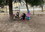 IMG_3922.jpeg