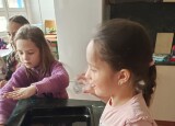 MASOPUSTNÍ KOLÁČE (29).jpg