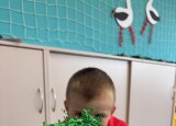 IMG_0349.jpg