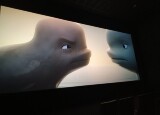 KINO - KATAK - ODVÁŽNÁ VELRYBA (2).jpg