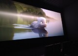 KINO - KATAK - ODVÁŽNÁ VELRYBA (3).jpg