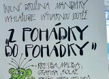 stažený soubor.jpg