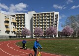 IMG_4905.jpg