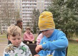 IMG_0717.jpg